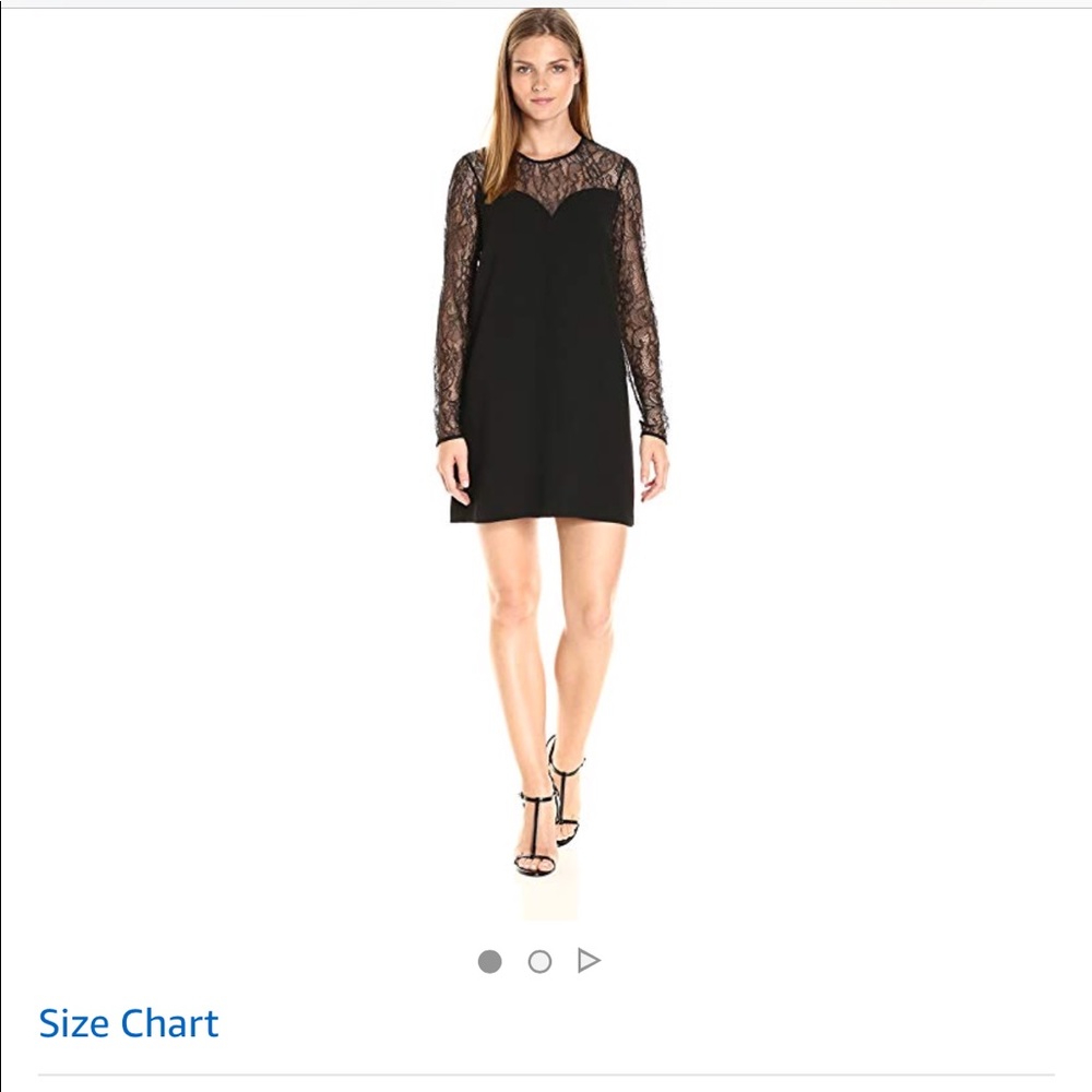Bcbg generation A- line- lace dress. New with tags
